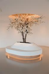 Polat Beauty Eindhoven, openingstijden