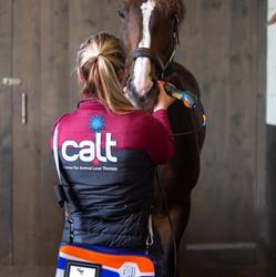 Center for All Laser Therapy CALT, Vijfhuizen openingstijden