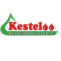 Kesteloo Bloembollen B.V., Breezand openingstijden