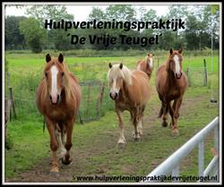 Hulpverleningspraktijk 'De Vrije Teugel', Haule openingstijden