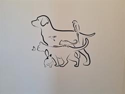Dierenkliniek Utrechtse Heuvelrug, Rhenen openingstijden