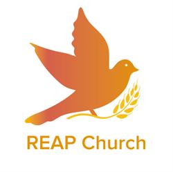REAP Church, Rotterdam openingstijden