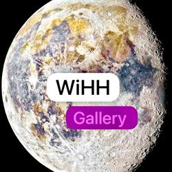 Wihhgallery, Amsterdam openingstijden