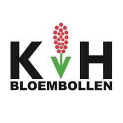KVH Bloembollen, De Zilk openingstijden