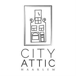 City Attic Haarlem - Bed and Breakfast, openingstijden