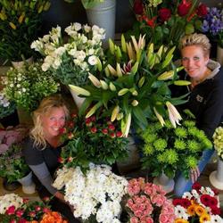 Bloemenhuis Jan Schuiten Zuidlaren, openingstijden