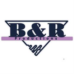 B&R Productions - Licht, beeld, livestreaming & geluidsverhuur, Beesd openingstijden