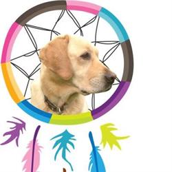 Integratieve Kindertherapie/ Ouderbegeleiding Jacoba Wierstra, Gytsjerk openingstijden