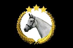 Doornhof Dressage Horses, Axel openingstijden
