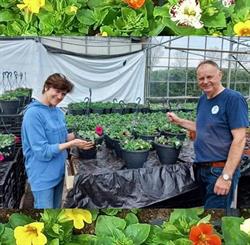 Tiede planten, Andijk openingstijden