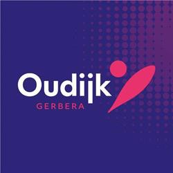 OudijkGerbera, Moerkapelle openingstijden