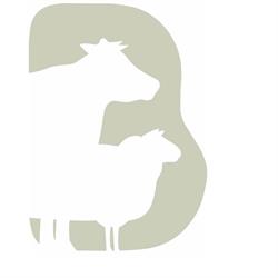 Boerderijvlees Veehouderij van Wees, Ravenswaaij openingstijden