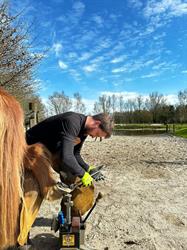 Through Feel, Natural Horse Care, Wellerlooi openingstijden