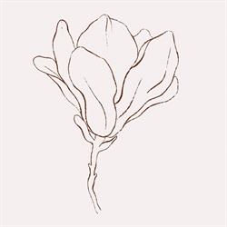 Magnolia Bruidsatelier, Deventer openingstijden