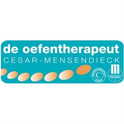 Oefentherapie-Mensendieck praktijk Vergeer, Slaapoefentherapie, Zoeterwoude openingstijden