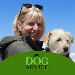 Dogadvice praktijkspeuren en kynologisch advies, Mierlo openingstijden