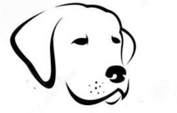 Honden trimsalon Anna, Harlingen openingstijden
