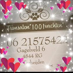 Trimsalon '1001 vachten', Terheijden openingstijden