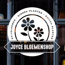 Joyce bloemenshop, Rucphen openingstijden