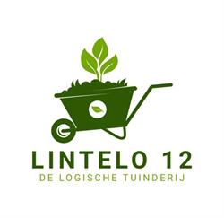 Lintelo 12, Aalten openingstijden