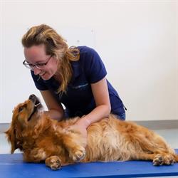 Van Breukelen Dierfysiotherapie, Bloemendaal openingstijden
