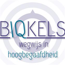 Biqkels - wegwijs in hoogbegaafdheid, Assen openingstijden