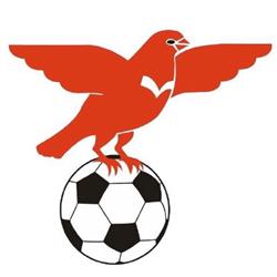 S.V. Valleivogels?, Scherpenzeel openingstijden