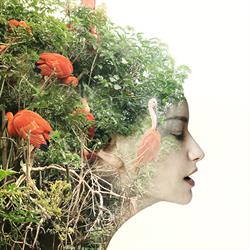 Mink Beauty Concepts, Oudenbosch openingstijden