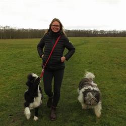 It’s a doggy day, Emmen openingstijden