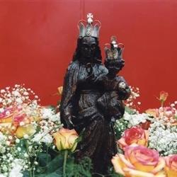 Paróquia Nossa Senhora da Paz Rotterdam, openingstijden