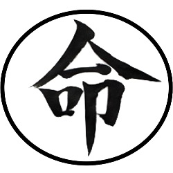 Praktijk voor IOKAI Shiatsu therapie Leusden, openingstijden