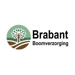 Brabant Boomverzorging, Eindhoven openingstijden