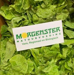 natuurvoedingswinkel morgenster, Hoogezand openingstijden