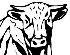 Biologische boerderijwinkel Arkema, Noordbroek openingstijden