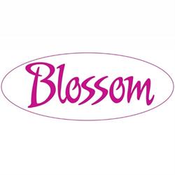 Blossom Fashion, Den Dolder openingstijden
