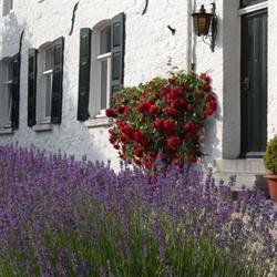 Gillishof Slowlife Holiday, Bocholtz openingstijden