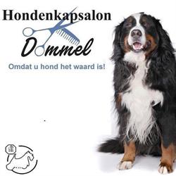 Hondenkapsalon Dommel, Ter Aar openingstijden