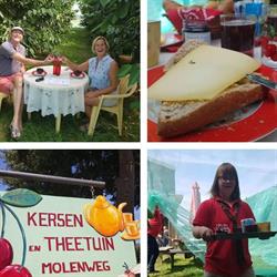 Kersen & Theetuin Molenweg, Zoelmond openingstijden