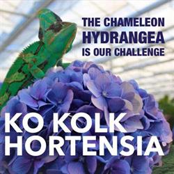 Ko Kolk Hortensia, Amstelveen openingstijden
