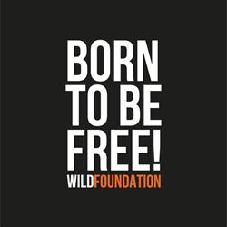 Stichting WILD Foundation, Almere openingstijden