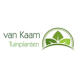 Van Kaam Tuinplanten B.V., Hooge Zwaluwe openingstijden