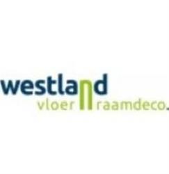 Westland vloer en raam, Maasdijk openingstijden