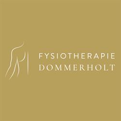 Fysiotherapie Dommerholt, Vorden openingstijden