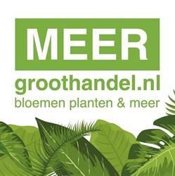 MEERgroothandel, Honselersdijk openingstijden