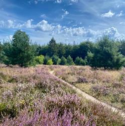 MTB Route Gieten - Gasselte start, openingstijden
