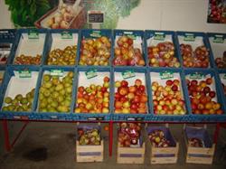 Van Kruiningen Aardappelen Groenten en Fruit, Krabbendijke openingstijden