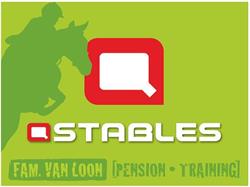 Q-stables pension en trainingstal, Tilburg openingstijden