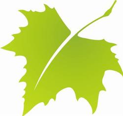 't Groene Leven Boomkwekerij en Plantencentrum uw sierbomenspecialist.nl, Maashees openingstijden