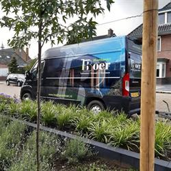 Houthandel Boer, IJsselmuiden openingstijden