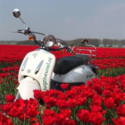 Landschapscamping de Vlugtheuvel, Stellendam openingstijden